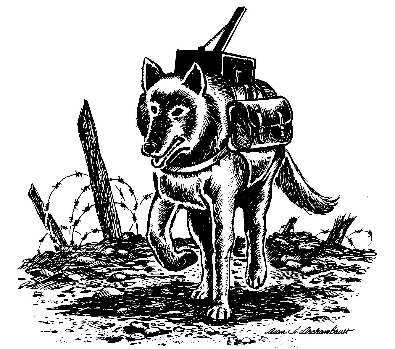 perros