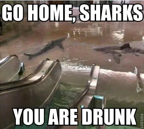 Go home you're drunk
