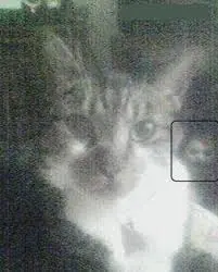 Que es un fantasma? Info recopilada