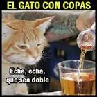 10 Alimentos prohibidos para tu gato