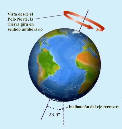 50 cosas