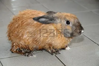 Moraleja sexual.... (apta).