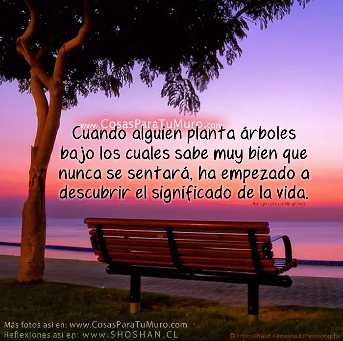 reflexiones, frases, parábolas  de la vida.