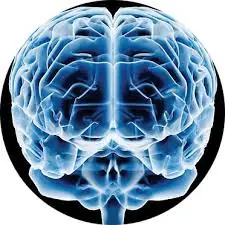 cerebro