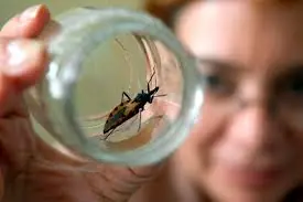 casi me muero la semana pasada