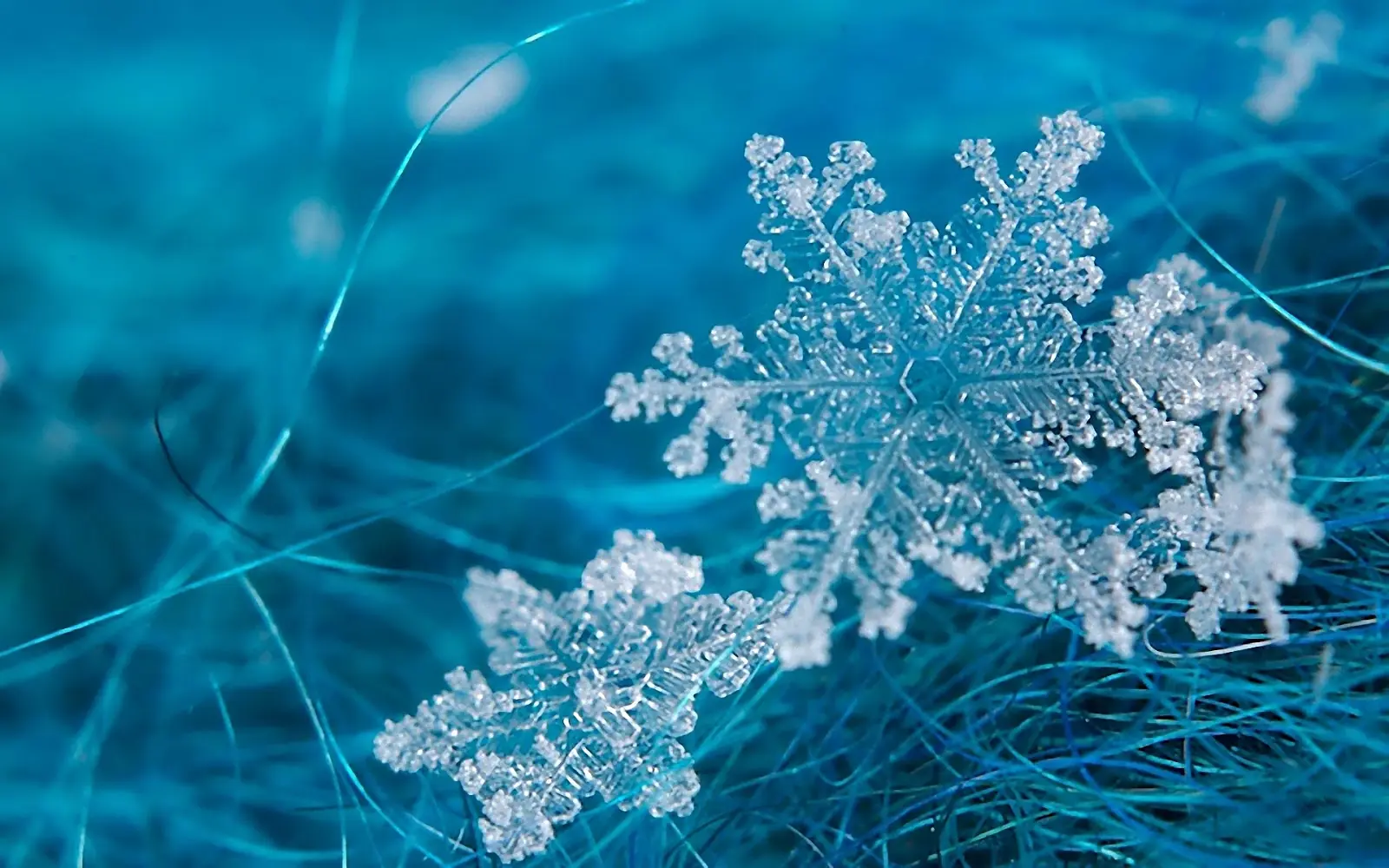 los cristales de nieve