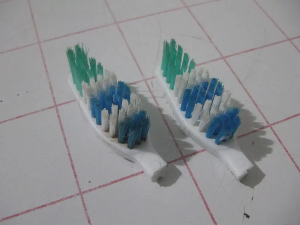 cepillo de dientes