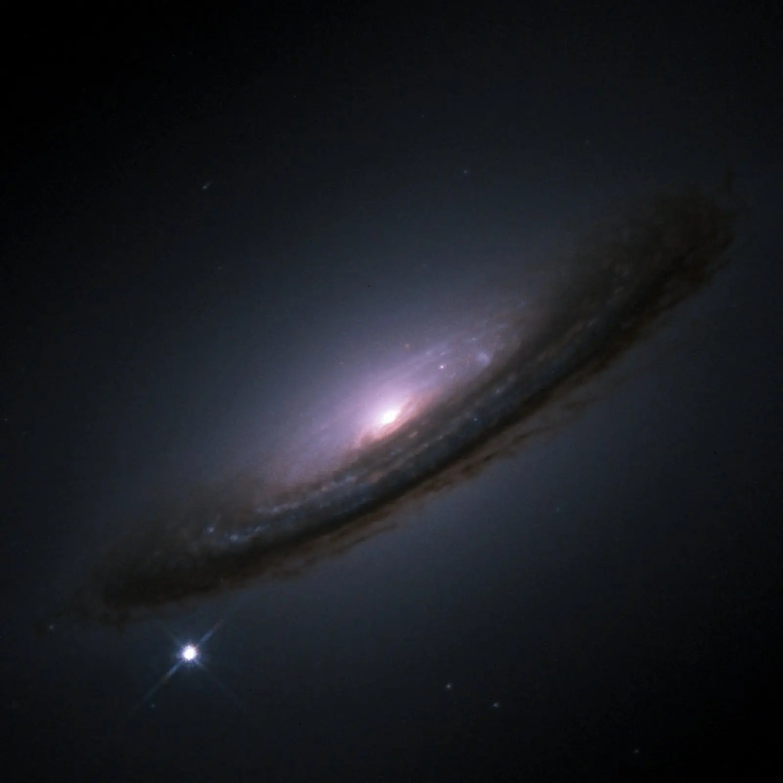 tamano del universo