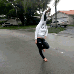 Gifs