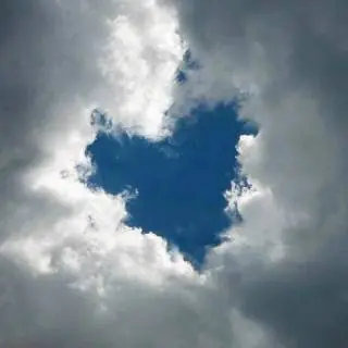 amor