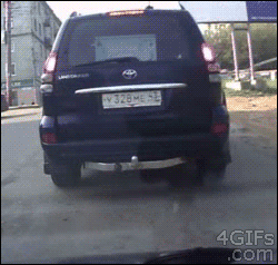 Gifs