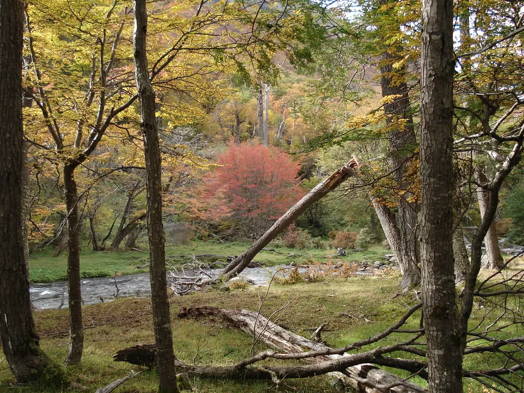 tierra del fuego