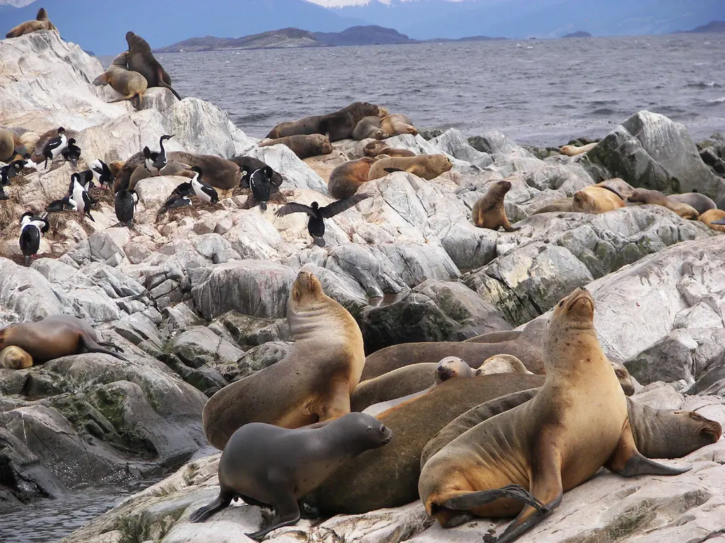 tierra del fuego