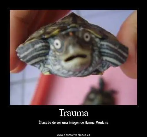 imagines chistosas