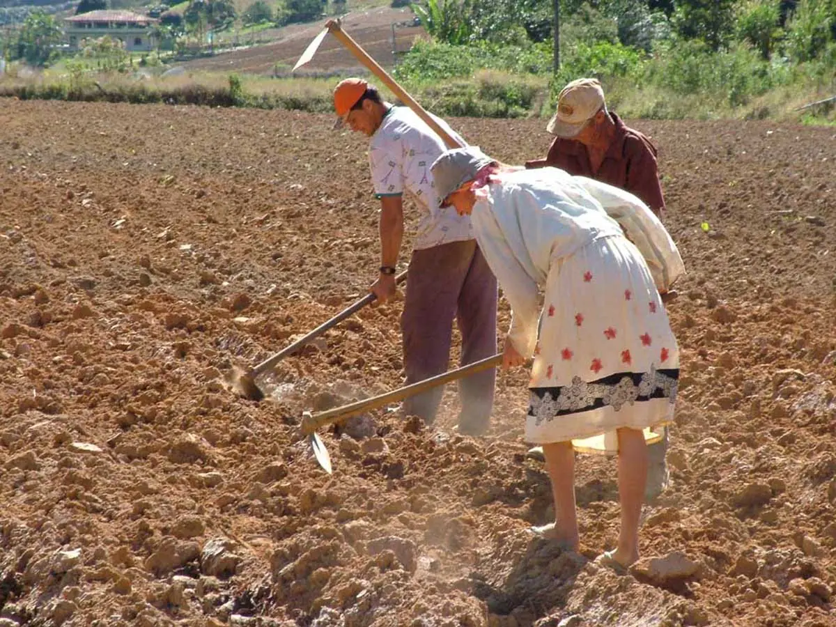 La Huella Ecológica:¿Cuánto necesitas para vivir?
