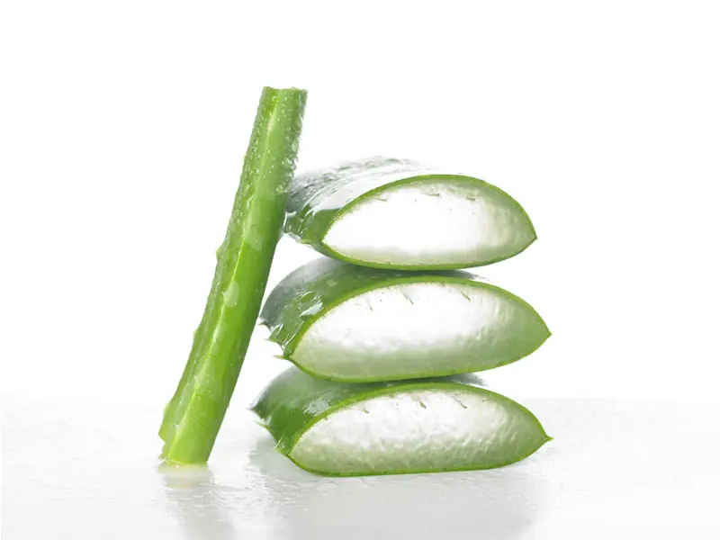 Propiedades del Aloe Vera