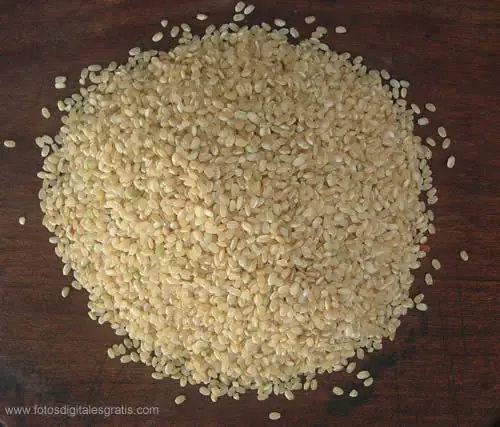 Chaw Fan con Arroz Yamani .- No se van a arrepentir!!!