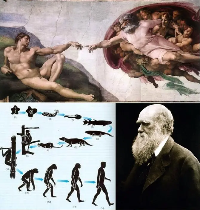 Teoria de la evolucion y sus problemas. Segunda parte