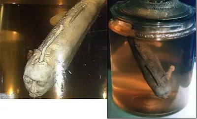 Sobrenatural