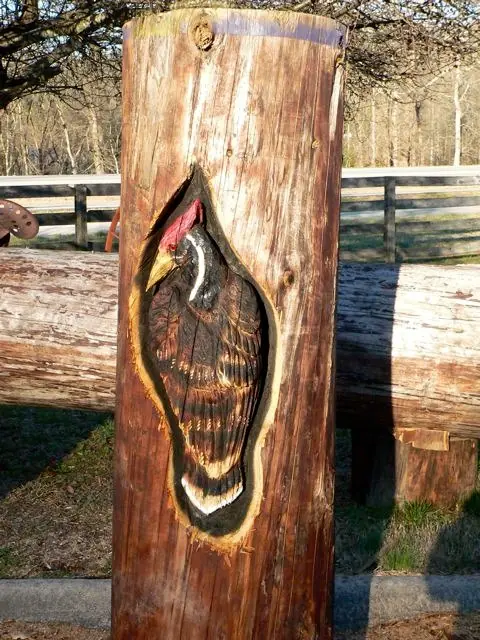 arte