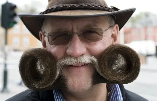 bigotes