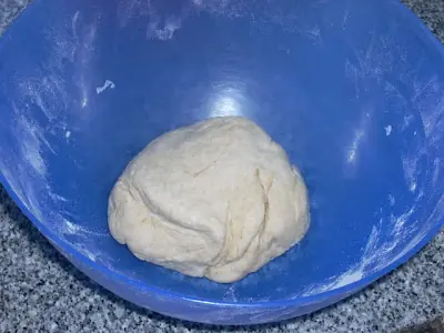 zapallo