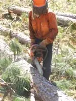 Misiones: población, selva y ríos en peligro