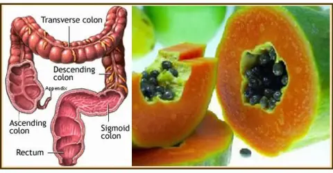 frutas y verduras