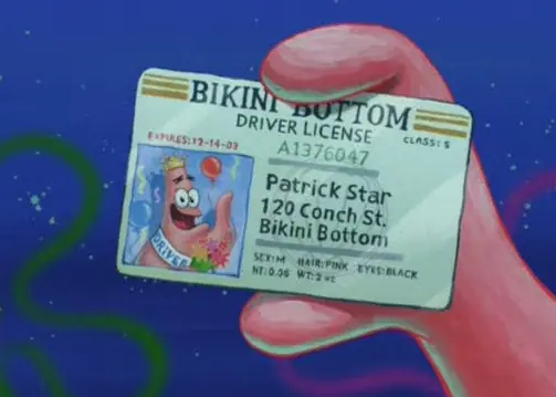 Cosas que no sabías de bob esponja (datos curiosos)