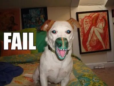 Fails!
