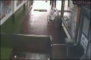 Gifs