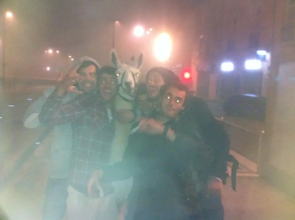5 Detenidos por robar una llama y llevarsela de fiesta