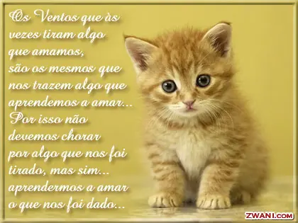 enamorar