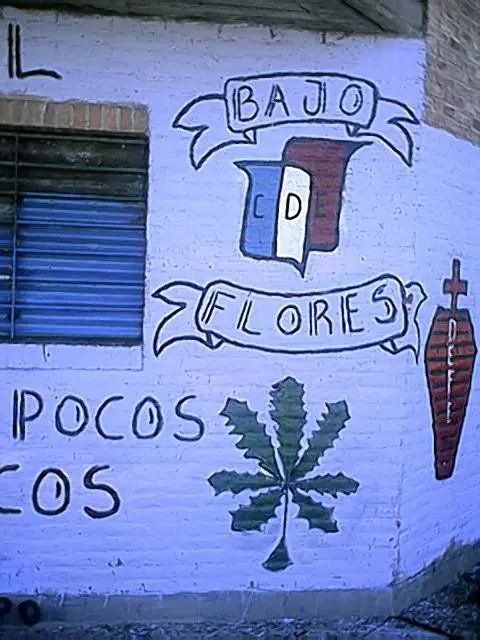 Deportivo Español