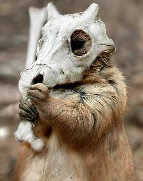 personajes en la vida real