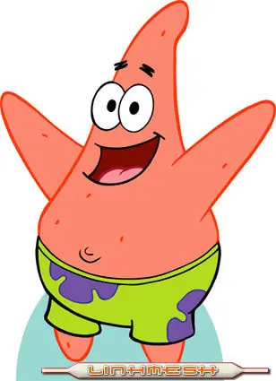 calamardo