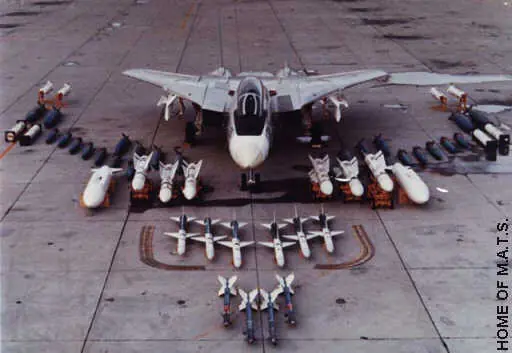 Grumman F-14 Tomcat