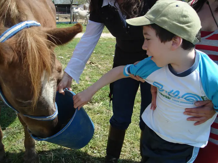 Equinoterapia (Terapia alternativa con caballos)