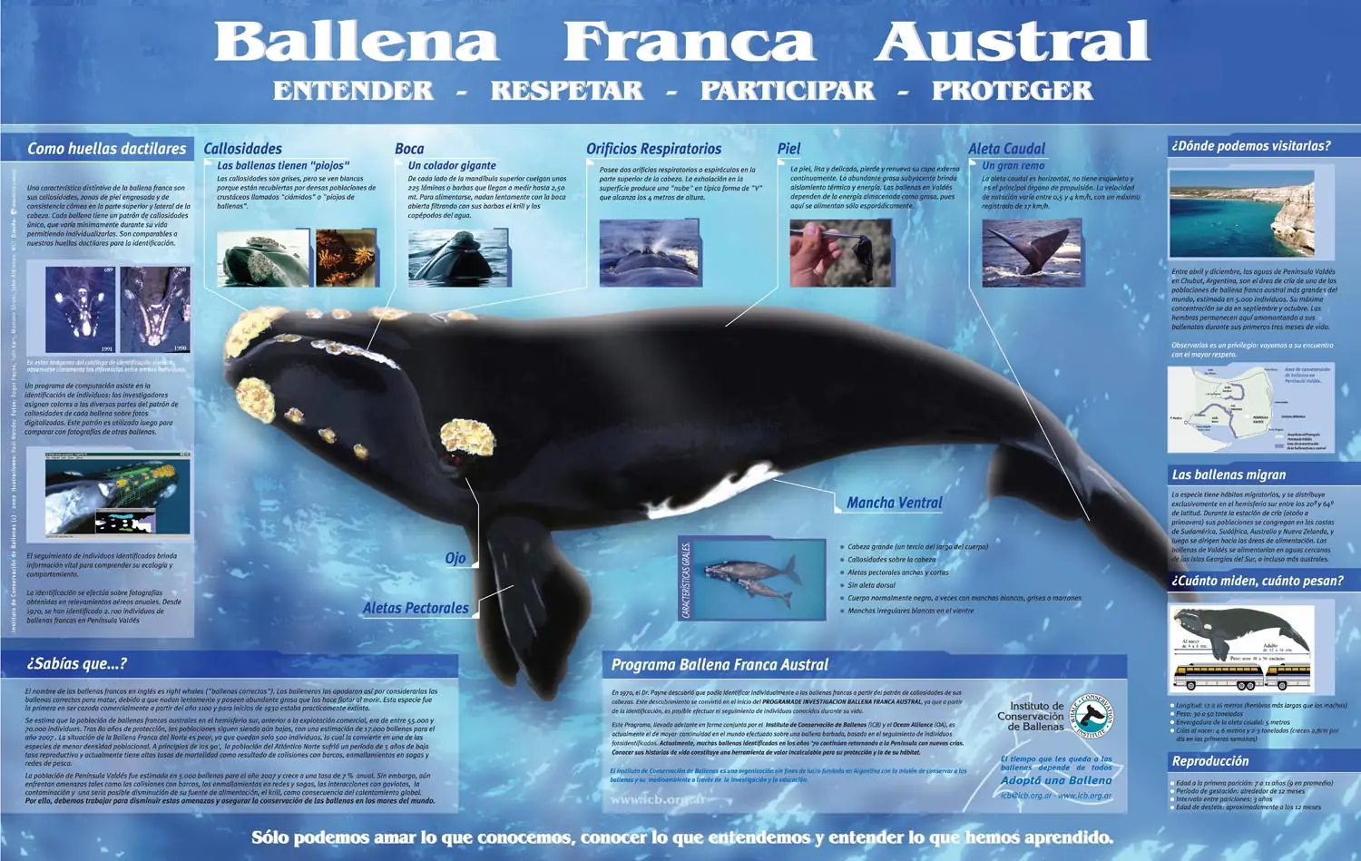 patagonia