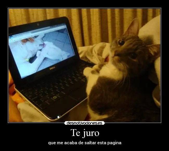 Megapost de las mejores desmotivaciones