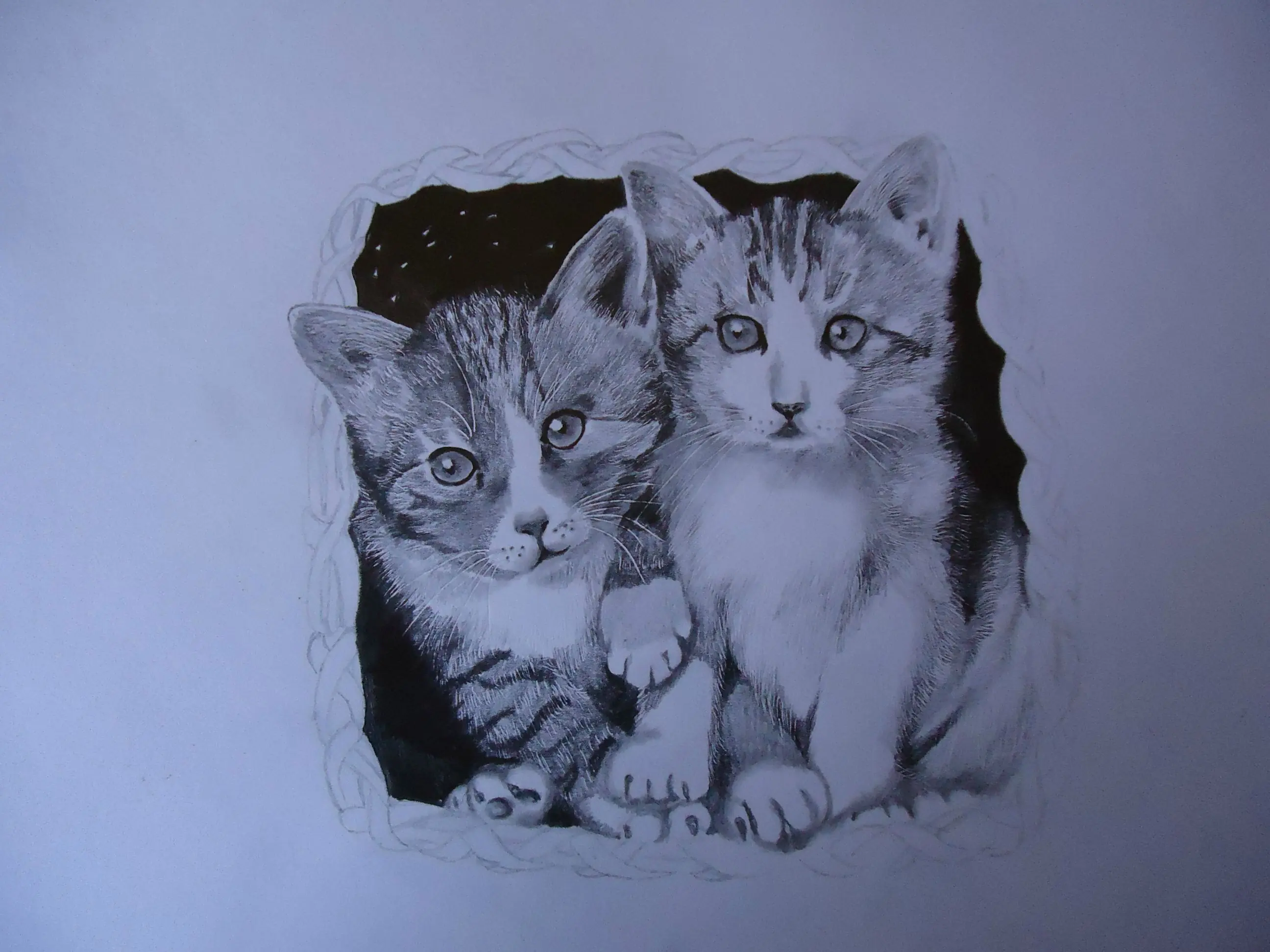 gatitos