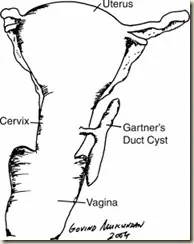 25 partes del cuerpo que no necesitamos. ¿Somos Perfectos?