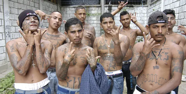 seguridad seguridad