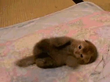 imagenes divertidas no apto para mentes cerradas 2