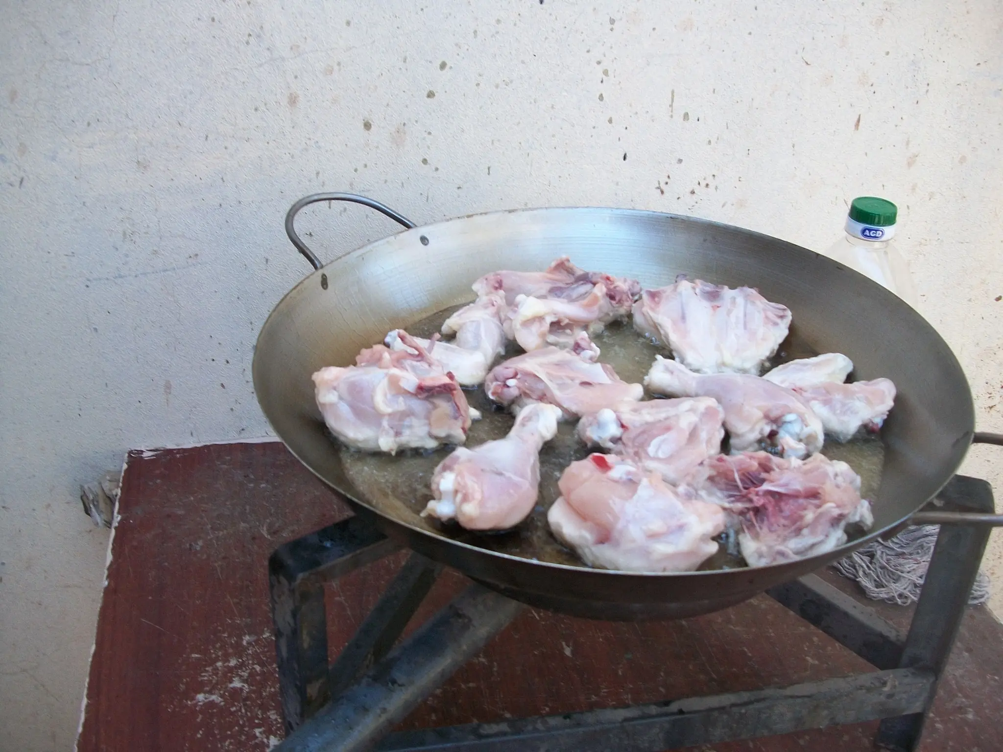 Pollo