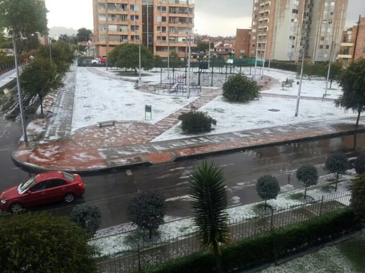 nieve