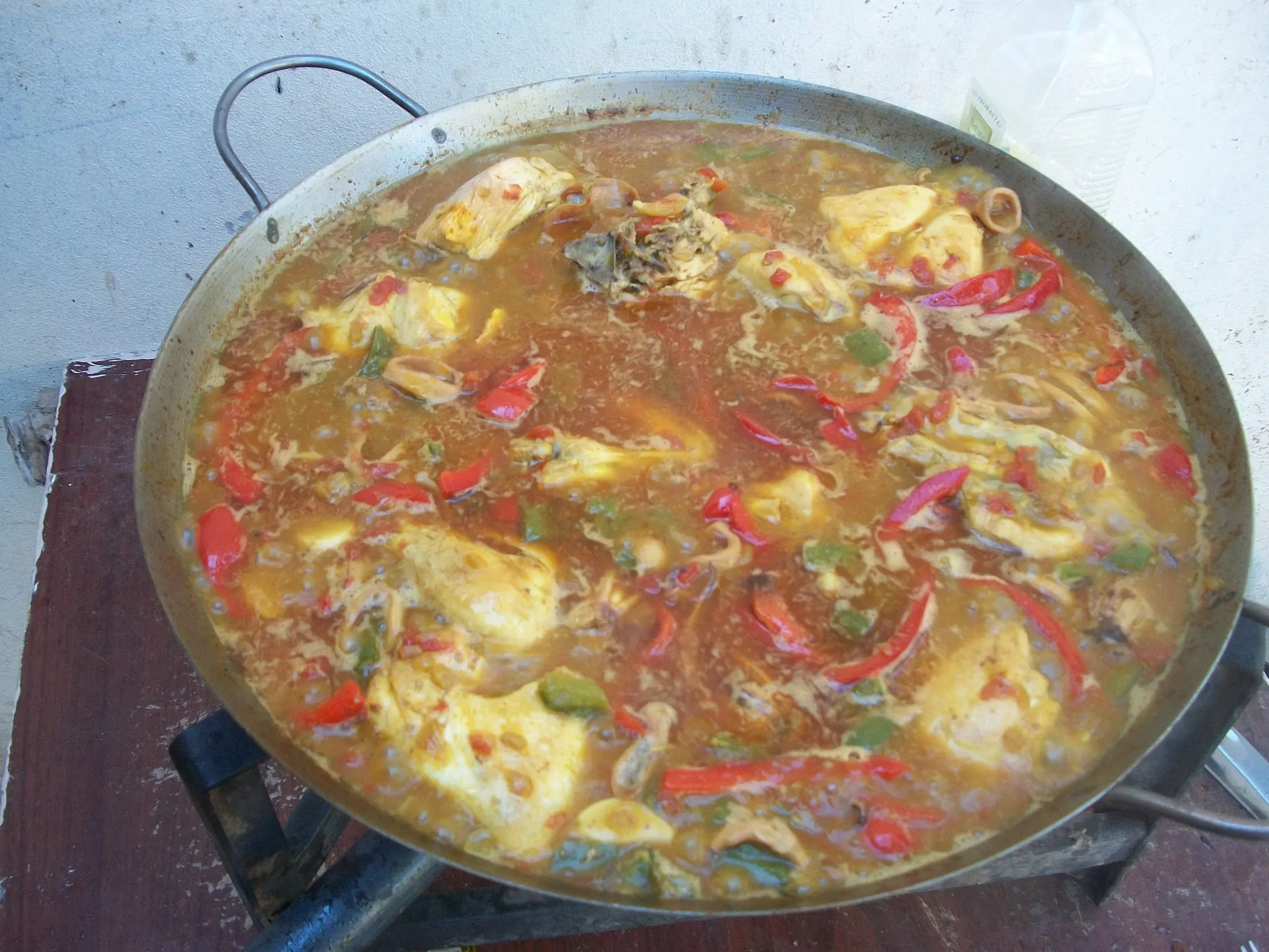 Pollo