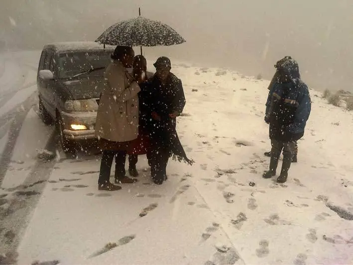 nieve