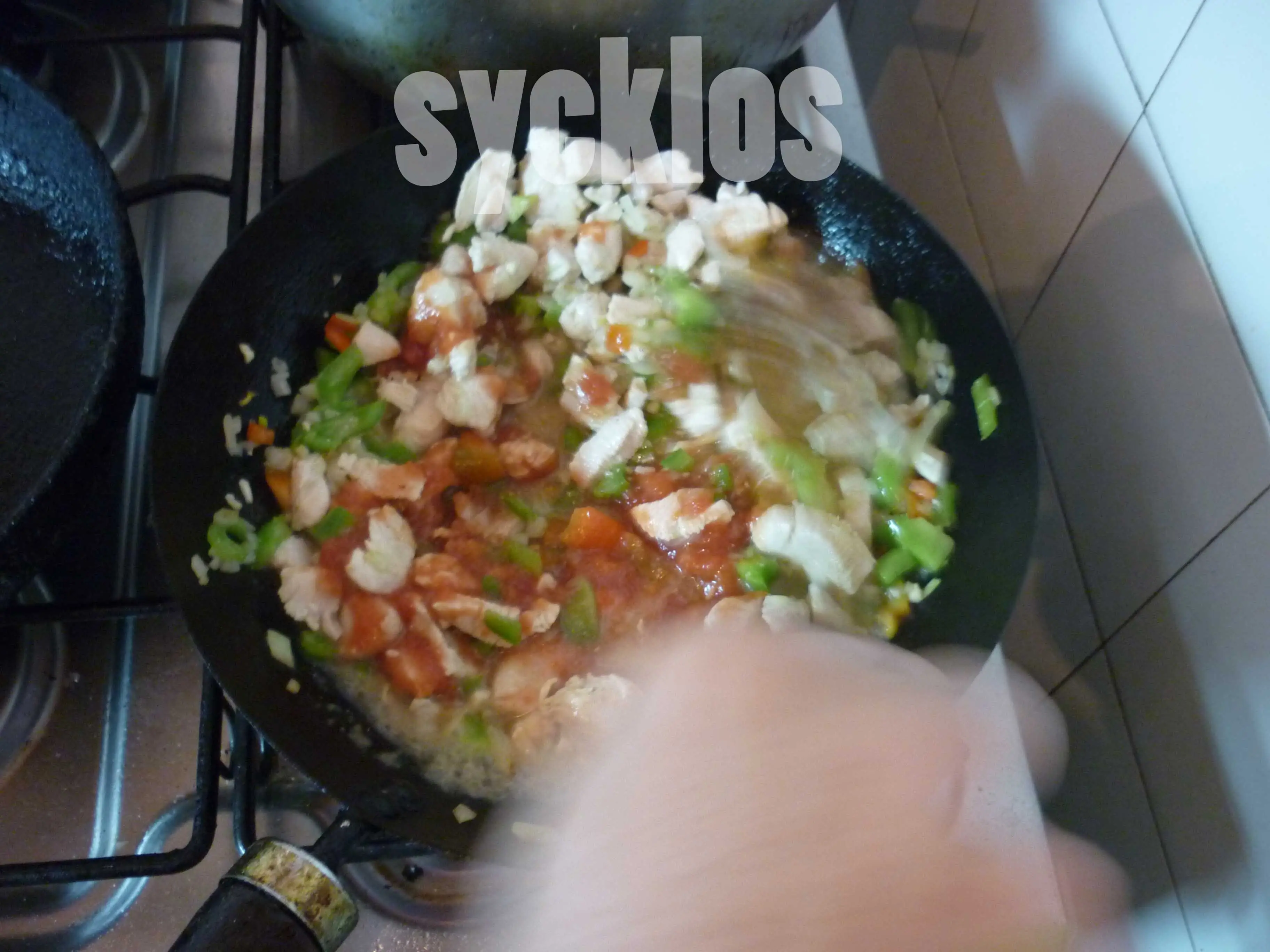 Pollo