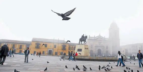 neblina